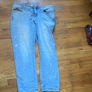 Anthropologie Pilcro and the Letter Press Blue Jeans Slim Boyfriend
